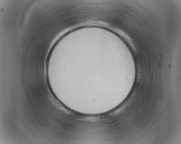 X0000081631280200702121655