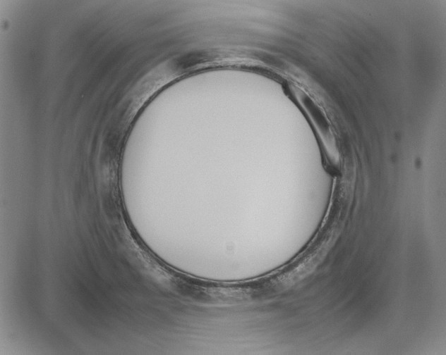 X0000081631281200702121655