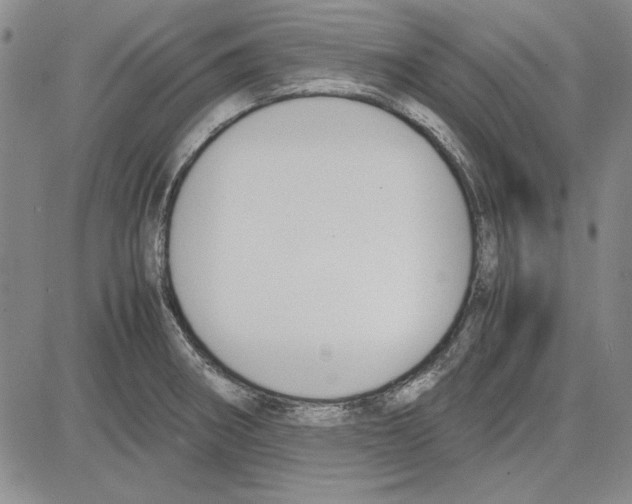 X0000081631282200702121655