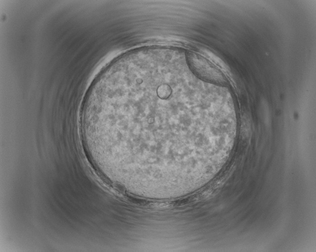 X0000081631283200702121655