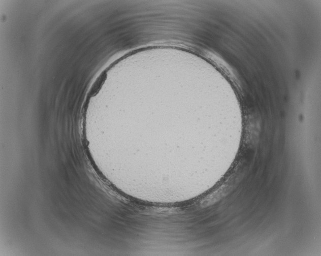 X0000081631284200702121655