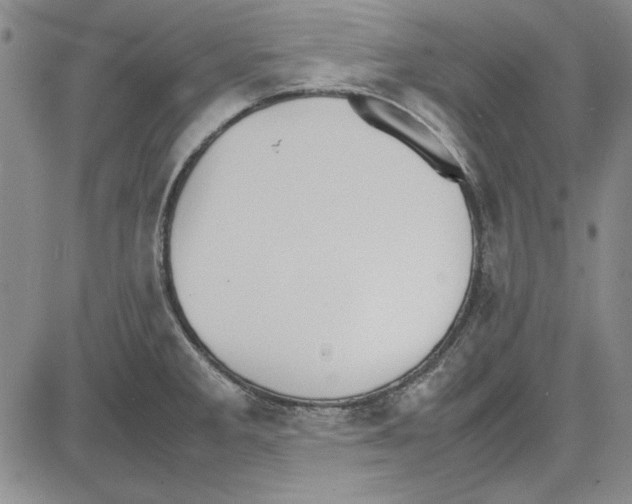 X0000081631285200702121655