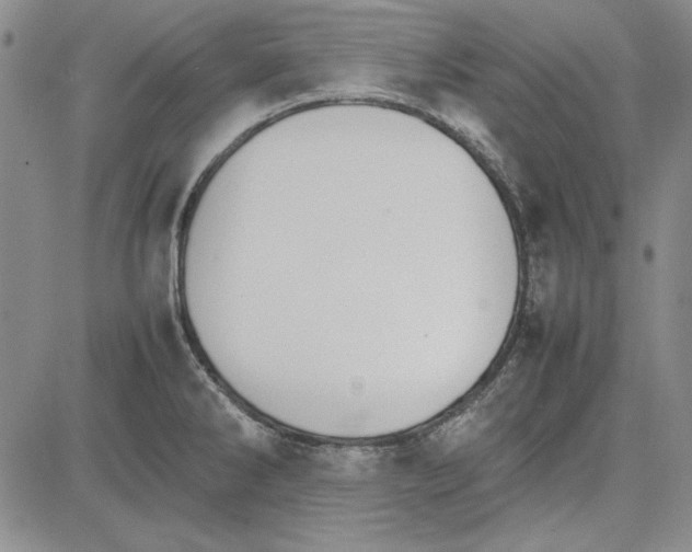 X0000081631286200702121655