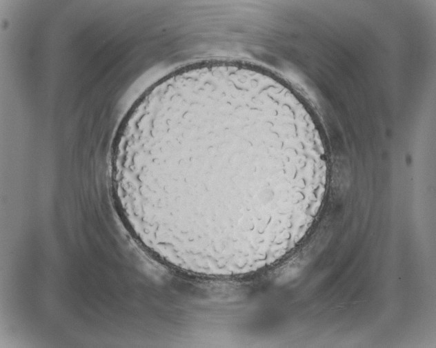 X0000081631287200702121655