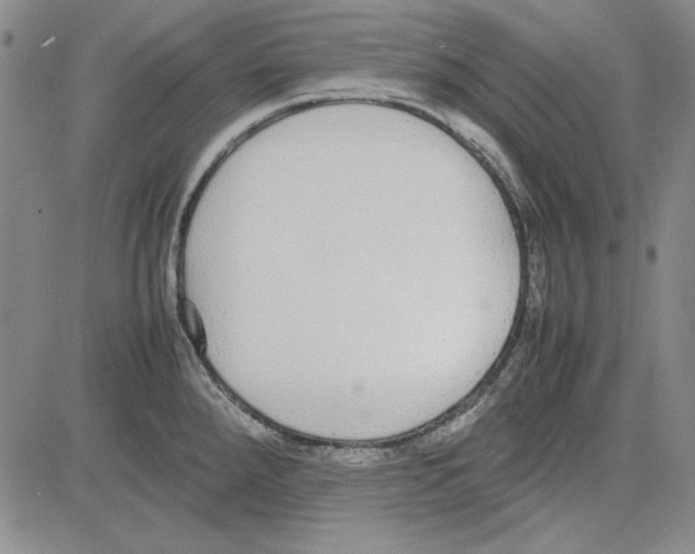 X0000081631288200702121655