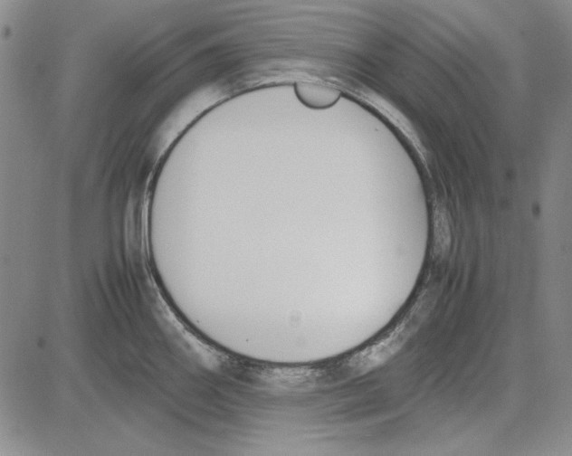 X0000081631290200702121655