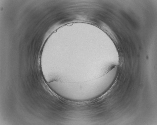 X0000081631292200702121655