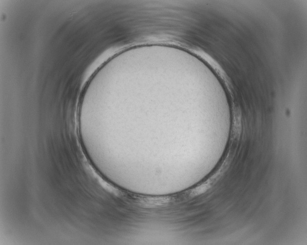 X0000081631294200702121655