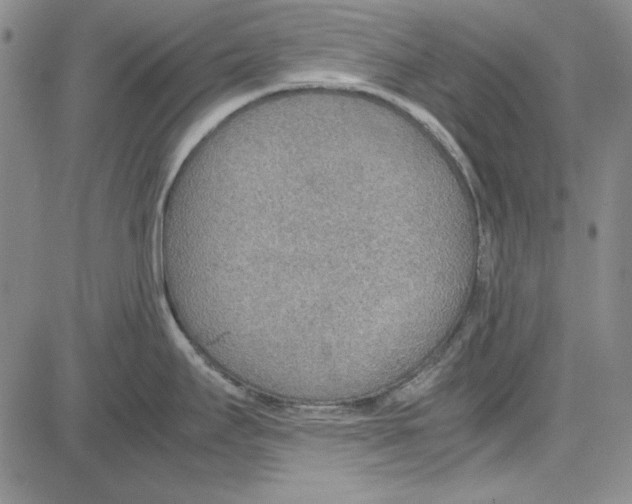 X0000081631295200702121655