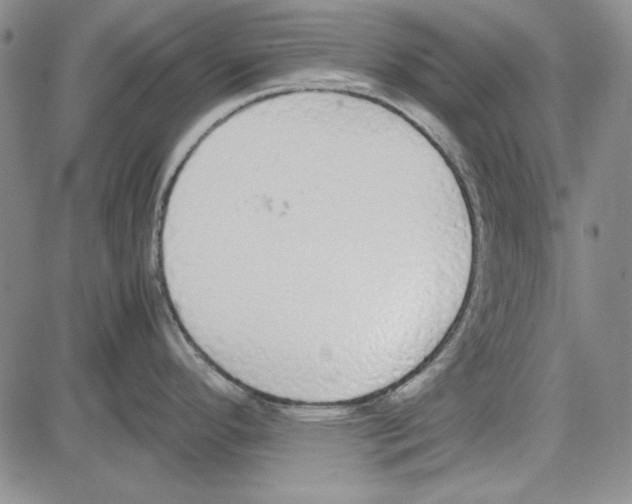 X0000081631296200702121655