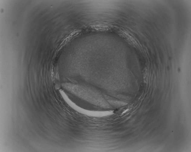 X0000081631298200702121654