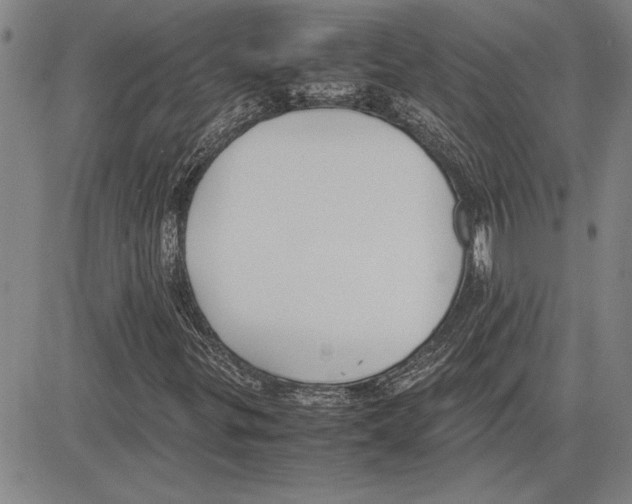 X0000081631299200702121654