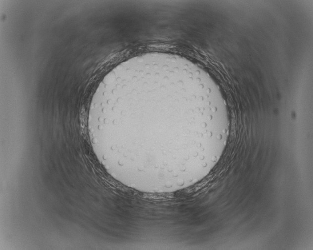 X0000081631301200702121654