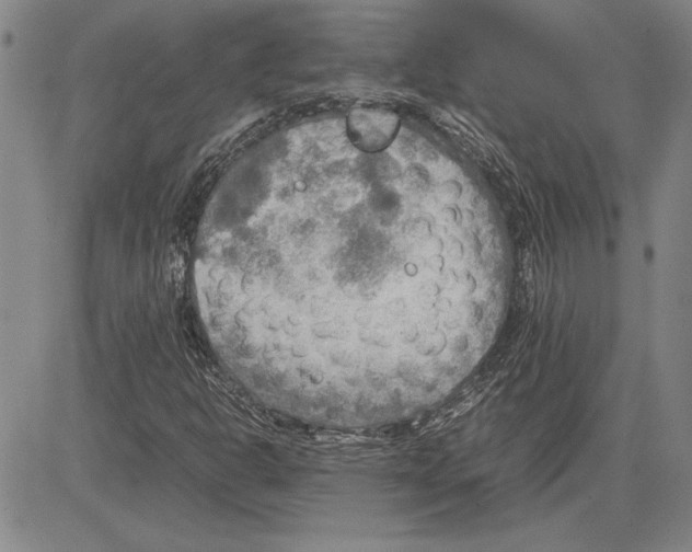 X0000081631302200702121654