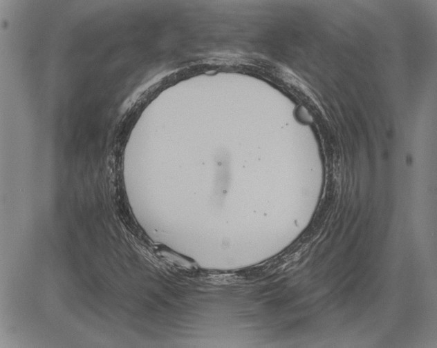 X0000081631304200702121654