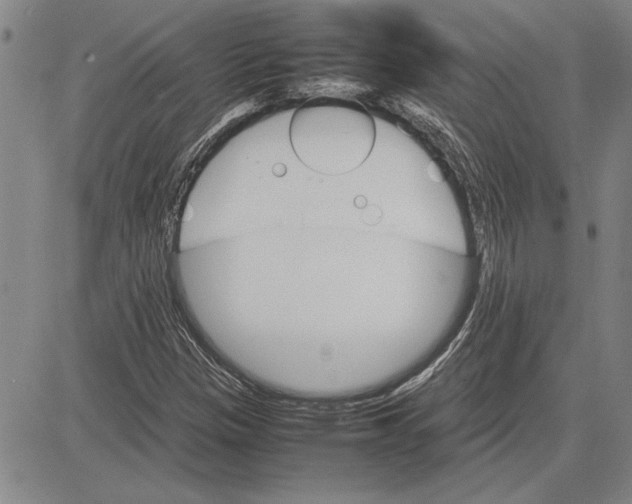 X0000081631305200702121654