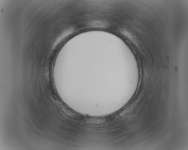 X0000081631307200702121655