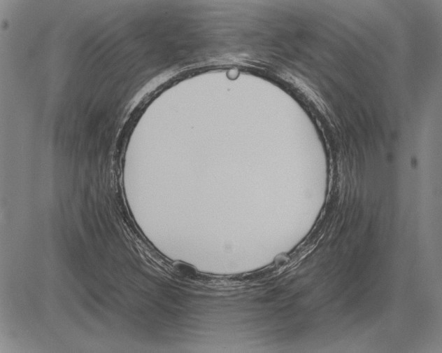 X0000081631308200702121655