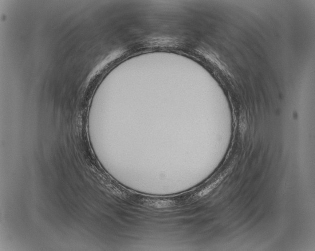 X0000081631309200702121655