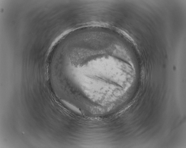 X0000081631310200702121655