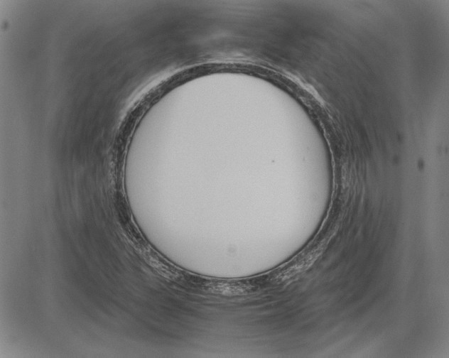 X0000081631311200702121655