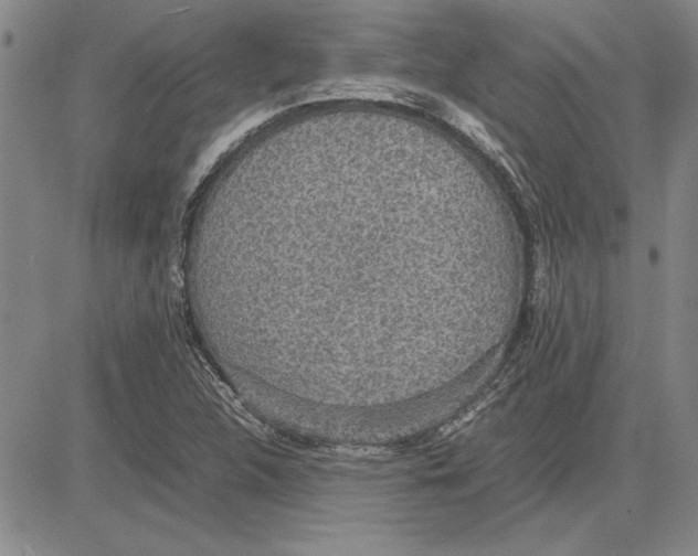 X0000081631312200702121655