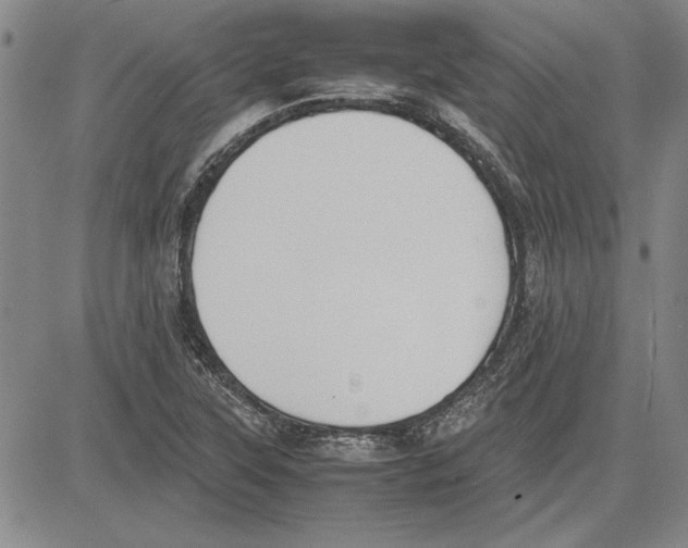 X0000081631315200702121655