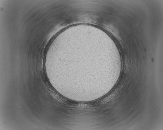 X0000081631316200702121655