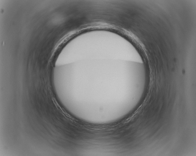 X0000081631318200702121655