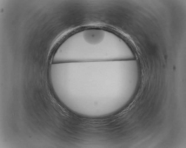 X0000081631319200702121655