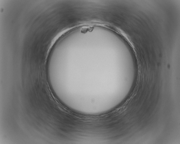 X0000081631320200702121655