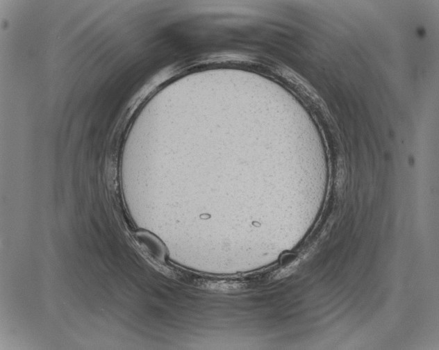 X0000081631321200702121655