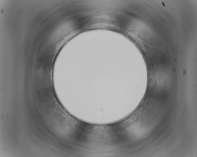 X0000081631322200702121655