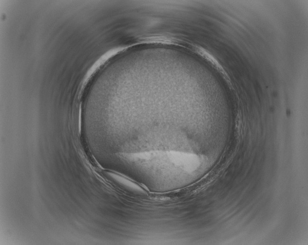 X0000081631323200702121655