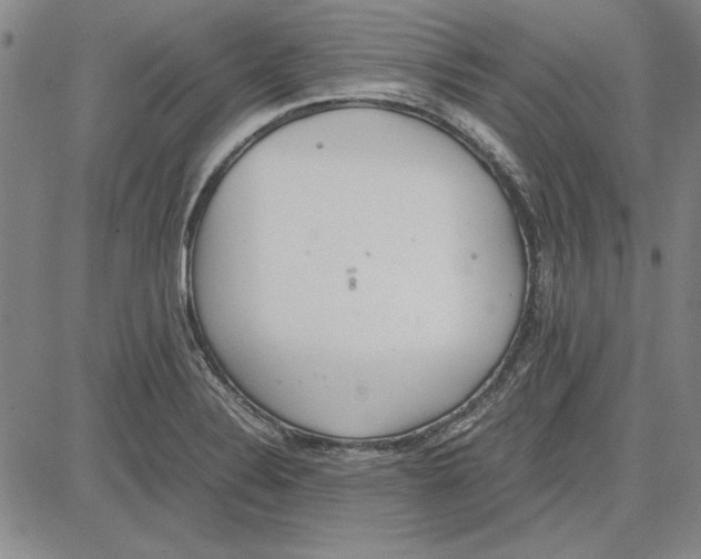 X0000081631324200702121655