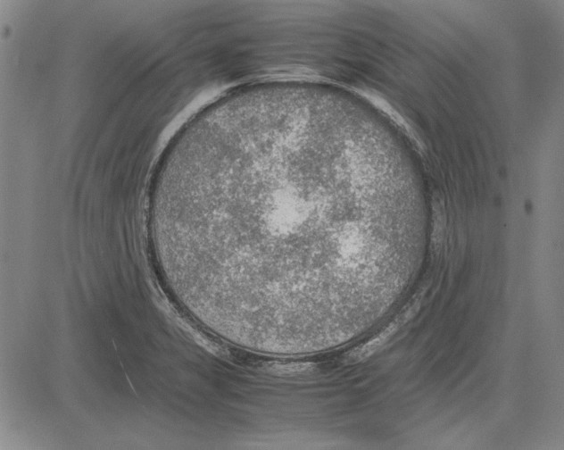 X0000081631325200702121655