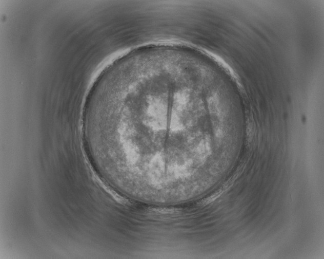 X0000081631327200702121655