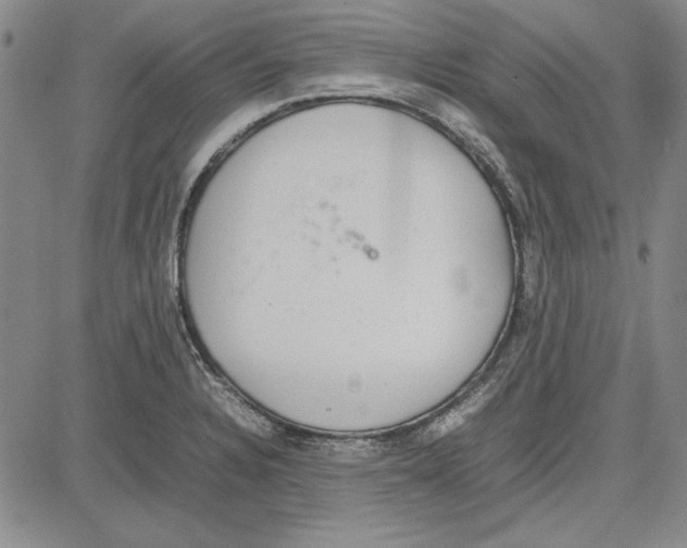 X0000081631328200702121655