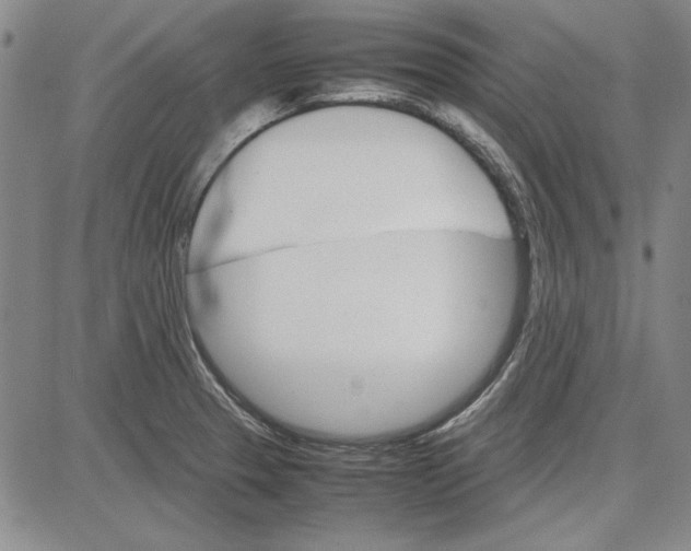 X0000081631329200702121655