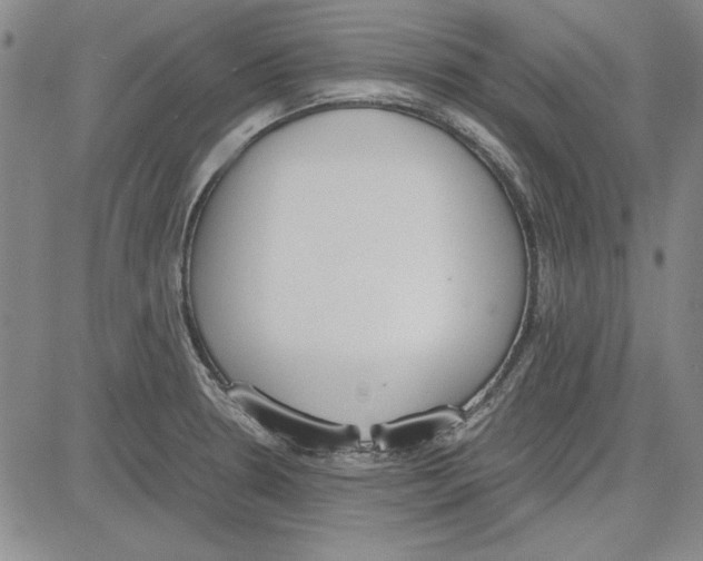 X0000081631330200702121655