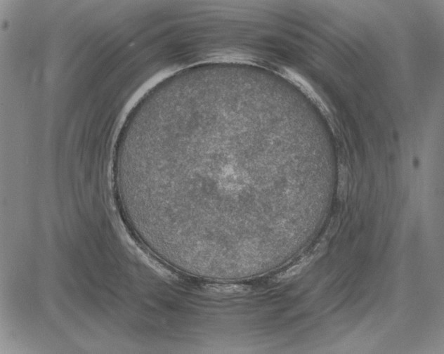 X0000081631331200702121655