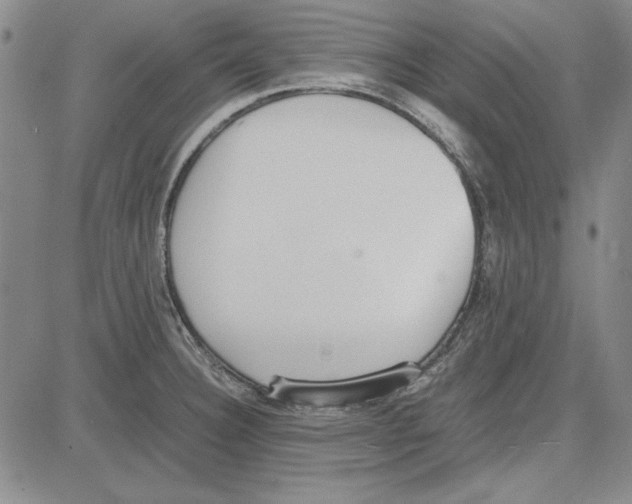 X0000081631332200702121655