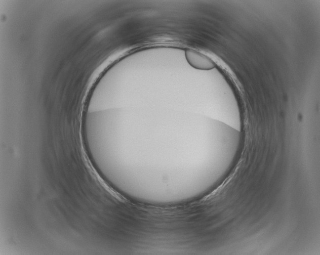 X0000081631333200702121655