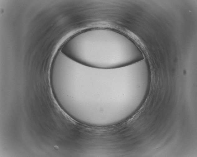 X0000081631334200702121655