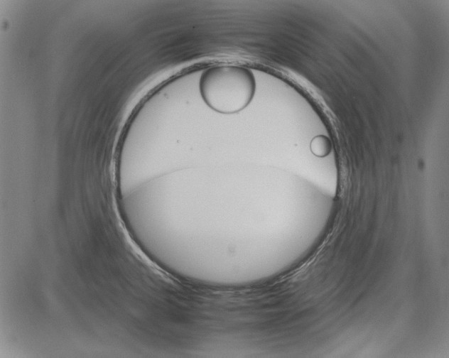 X0000081631335200702121655