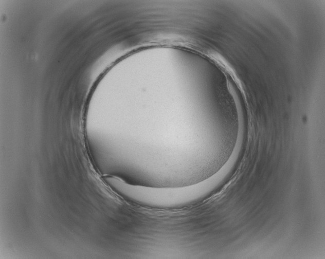 X0000081631336200702121655