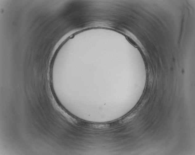 X0000081631339200702121655