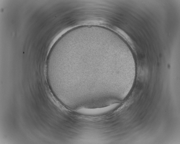 X0000081631340200702121655