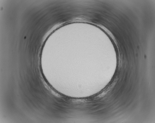 X0000081631341200702121655