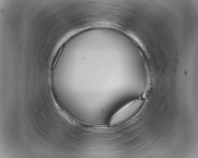 X0000081631342200702121655